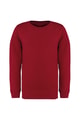 Kinder Sweater ecologische Native Spirit NS403 HIBISCUSRED
